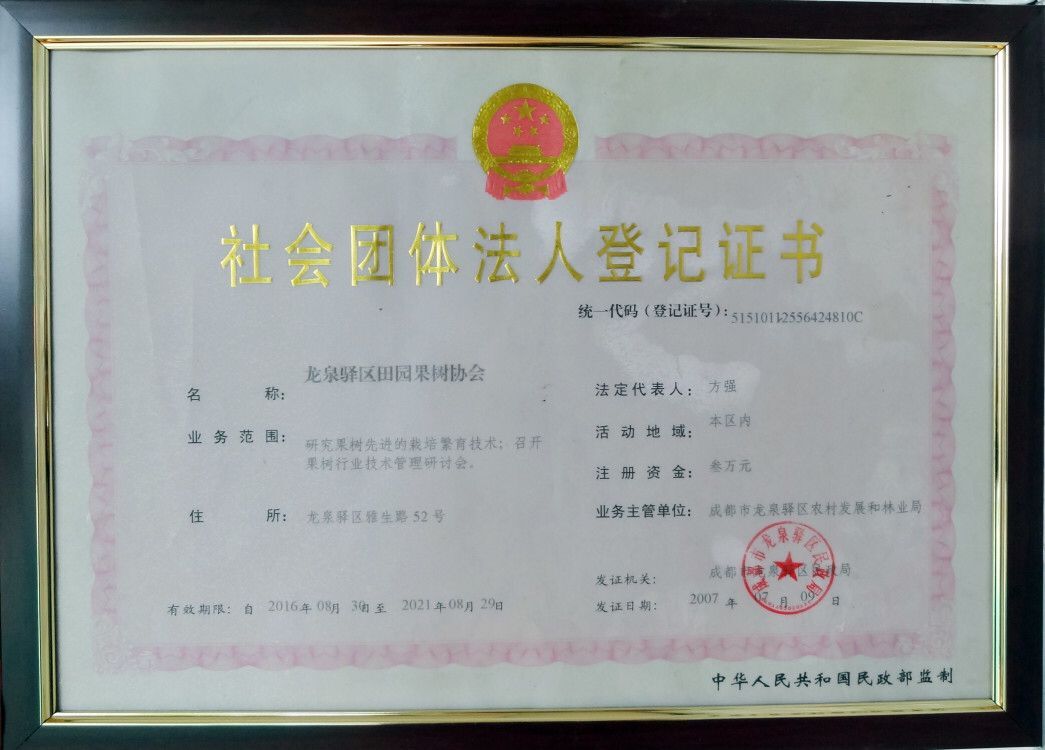 社會團體法人登記證書